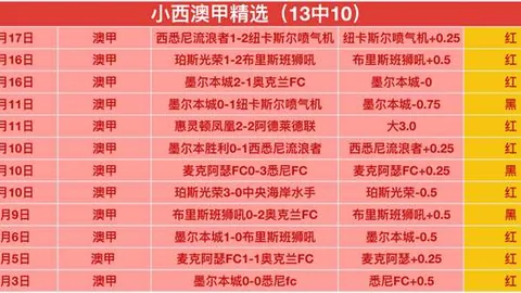 波兰超00_00华沙普洛克对列治亚专家质合分析及前区十码推荐